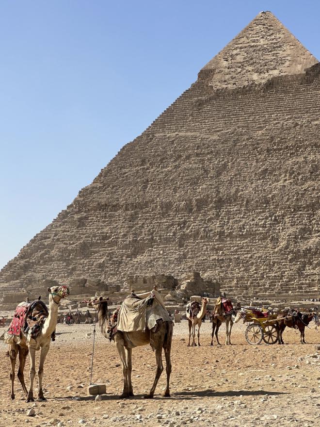 Pyramid of Khafre (Giza - 🇪🇬) | 09 Jan 2026