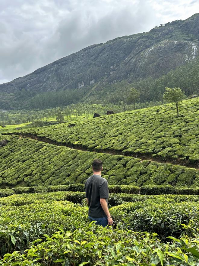Munnar (Kerala - 🇮🇳) | 06 Nov 2025