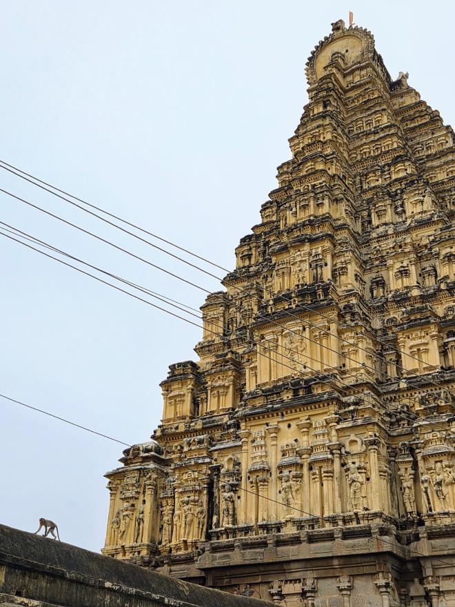 Virupaksha Temple (Hampi - 🇮🇳) | 28 Oct 2025